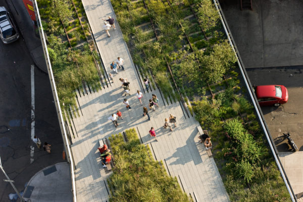 Projektowanie ogrodów miejskich