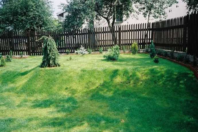 Zakładanie ogrodu bez wcześniejszego planu nasadzeń