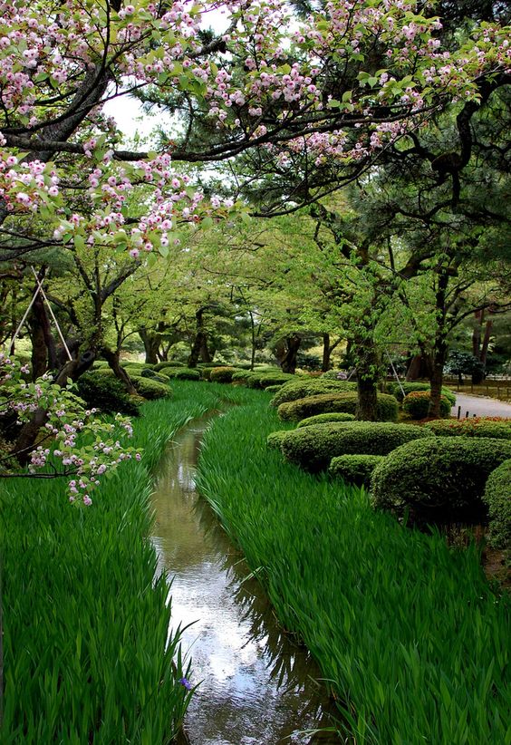 Rzeka w ogrodzie w stylu japońskim
